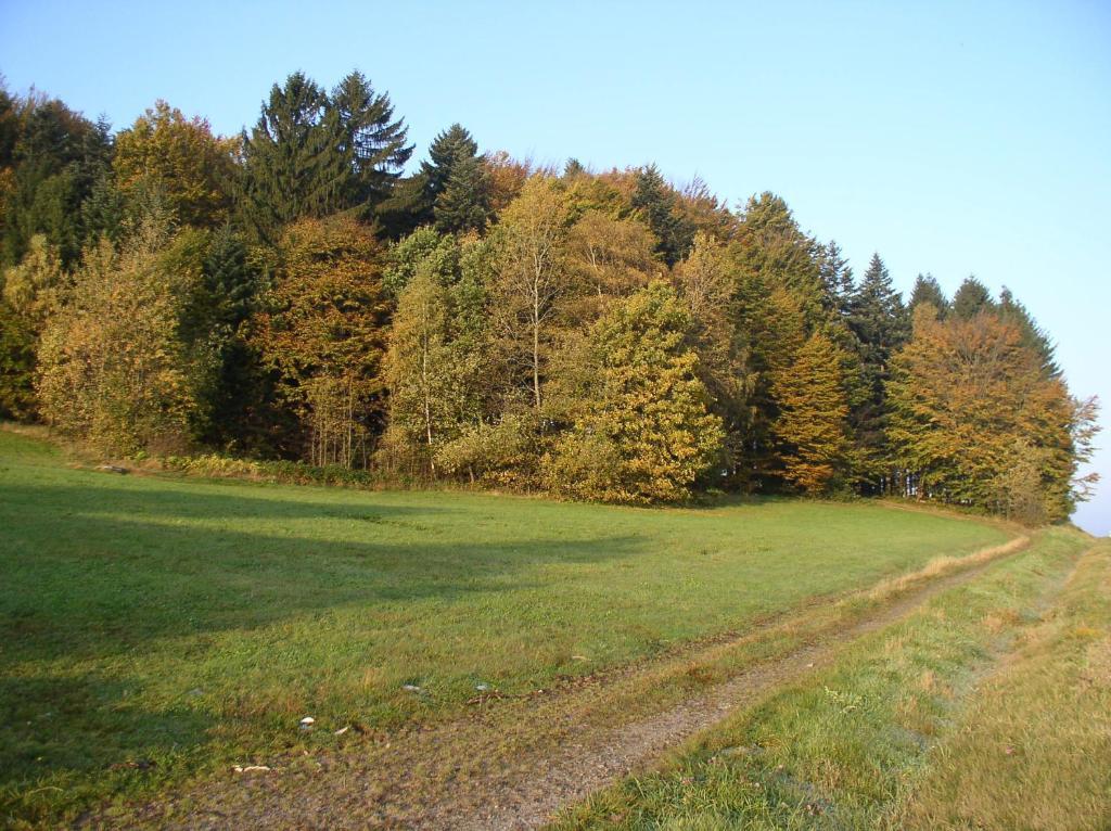 דירות Schöfweg Ferienland Sonnenwald מראה חיצוני תמונה