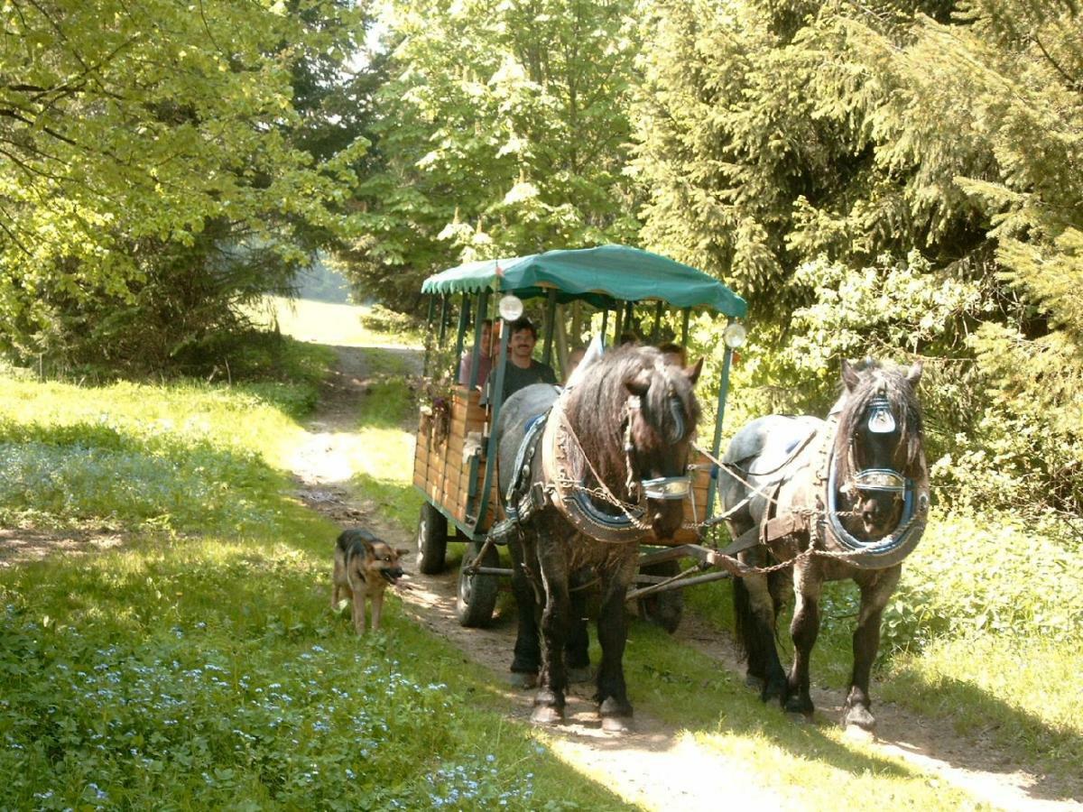 דירות Schöfweg Ferienland Sonnenwald מראה חיצוני תמונה